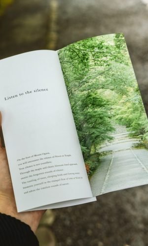 david-emrich-uH03NpIt-JQ-unsplash